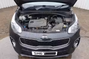 Sportage 5